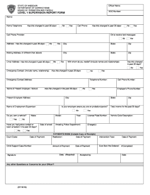  Level 1 Supervision Report Form Level 1 Supervision Report Form 2016