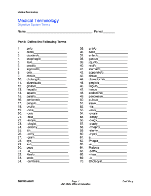 Digestive System Medical Terminology PDF  Form