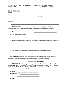 Pro Se Motion Template  Form