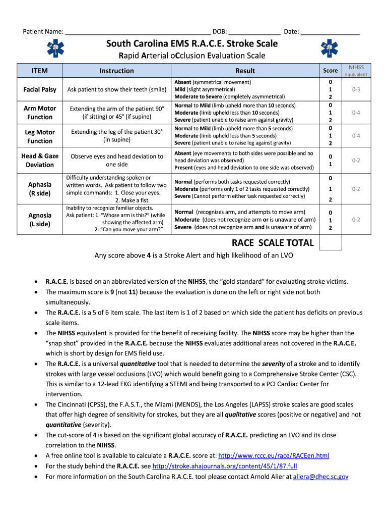 Race Stroke Scale PDF  Form