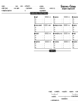 Shadows of Esteren Character Sheet  Form