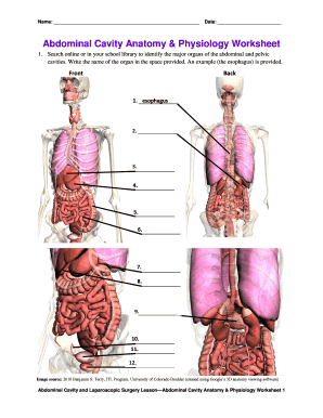 Fill in the Blank Anatomy and Physiology Worksheets  Form