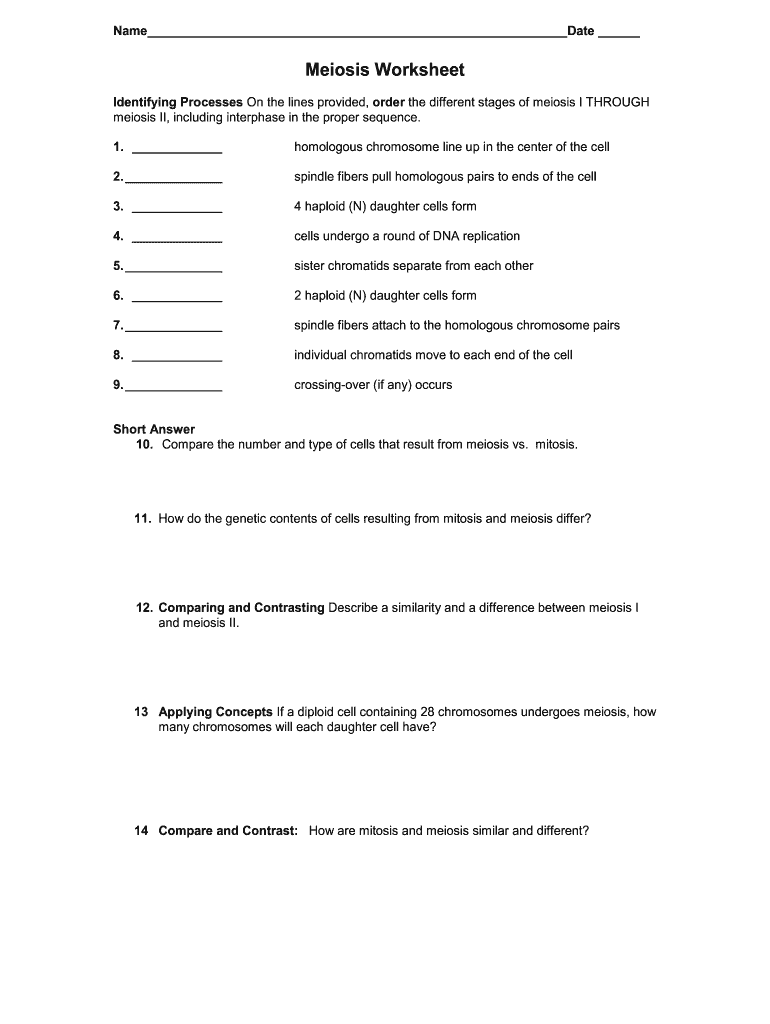Meiosis Stages Worksheet  Form