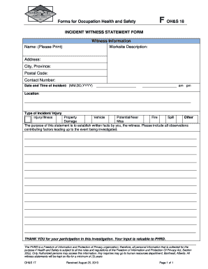 Statement Form Samples Incident