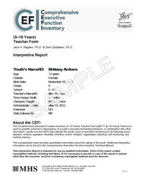 Cefi Report Template  Form