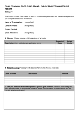Project Monitoring Form Template