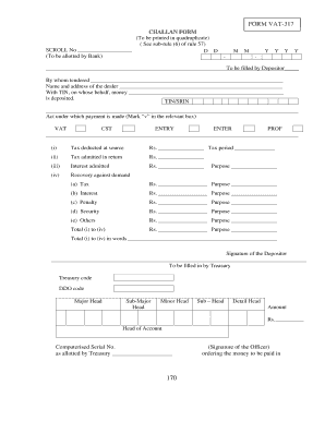 What is Payment Type in Vat 317 Form