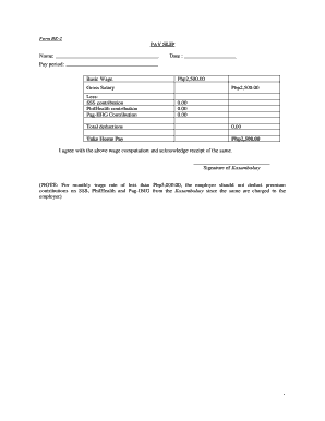 Payslip Sample Form - Fill and Sign Printable PDF Template | signNow