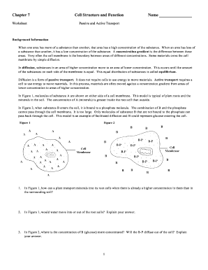 Passive and Active Transport Worksheet  Form