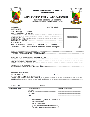 Application for Cameroon Passport Form