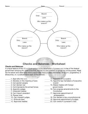 Checks and Balances Worksheet  Form