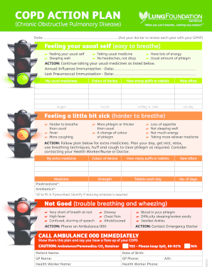 Copd Action Plan Example  Form