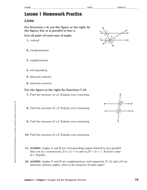 Lesson 1 Homework Practice Lines  Form