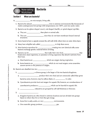 Bacteria Worksheet PDF  Form