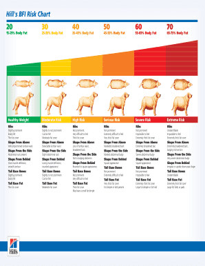 Bfi Risk Chart Form