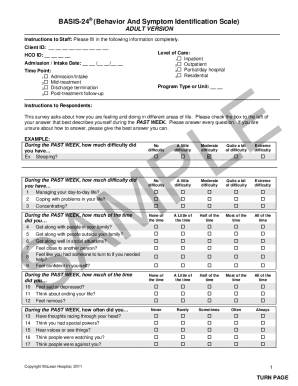 Basis 24 Scoring  Form