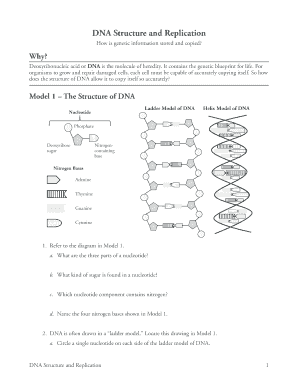 Dna Structure and Replication Pogil  Form