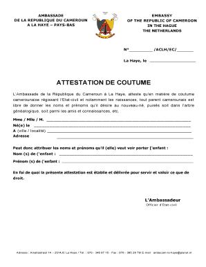 Certificat De Coutume  Form