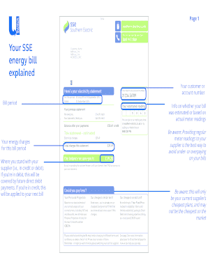 Your SSE Energy Bill Explained USwitch Com  Form