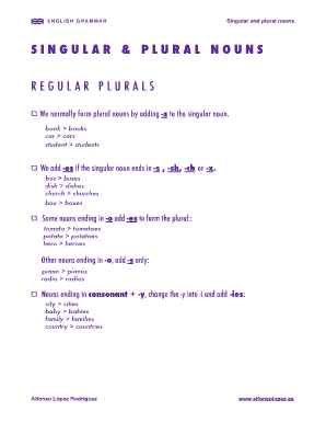 Plural of Nouns Exercises PDF  Form