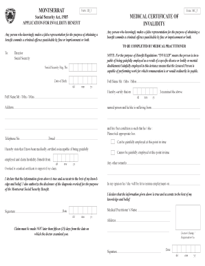 Ib1 Form Online PDF