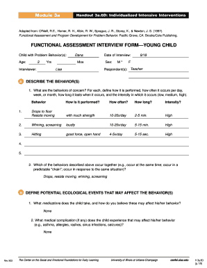 Functional Assessment Interview Form Young Child Center on the Csefel Vanderbilt