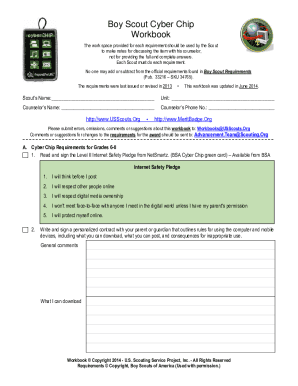 Cyber Chip Worksheet  Form