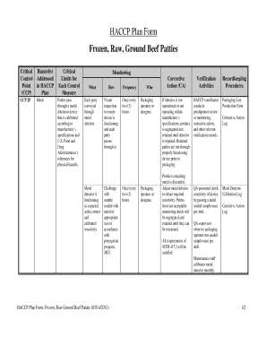 Haccp Plan for Hamburgers  Form