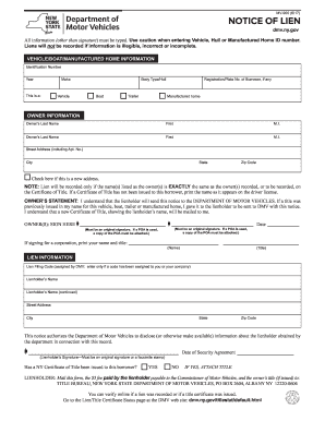 Mv 900 PDF  Form