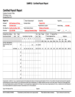 Payroll Report Sample  Form