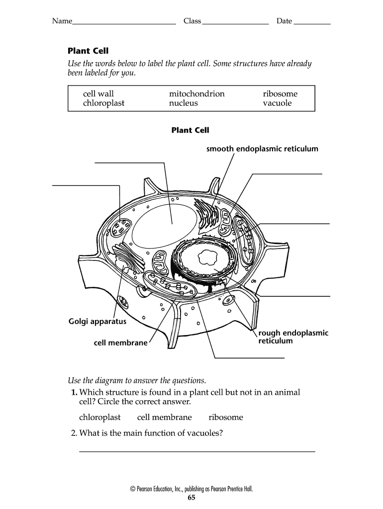 Plant Cell Worksheet Answer Key: Complete with ease | airSlate SignNow