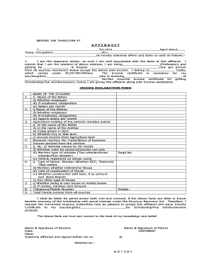 Affidavit for Salary Declaration  Form