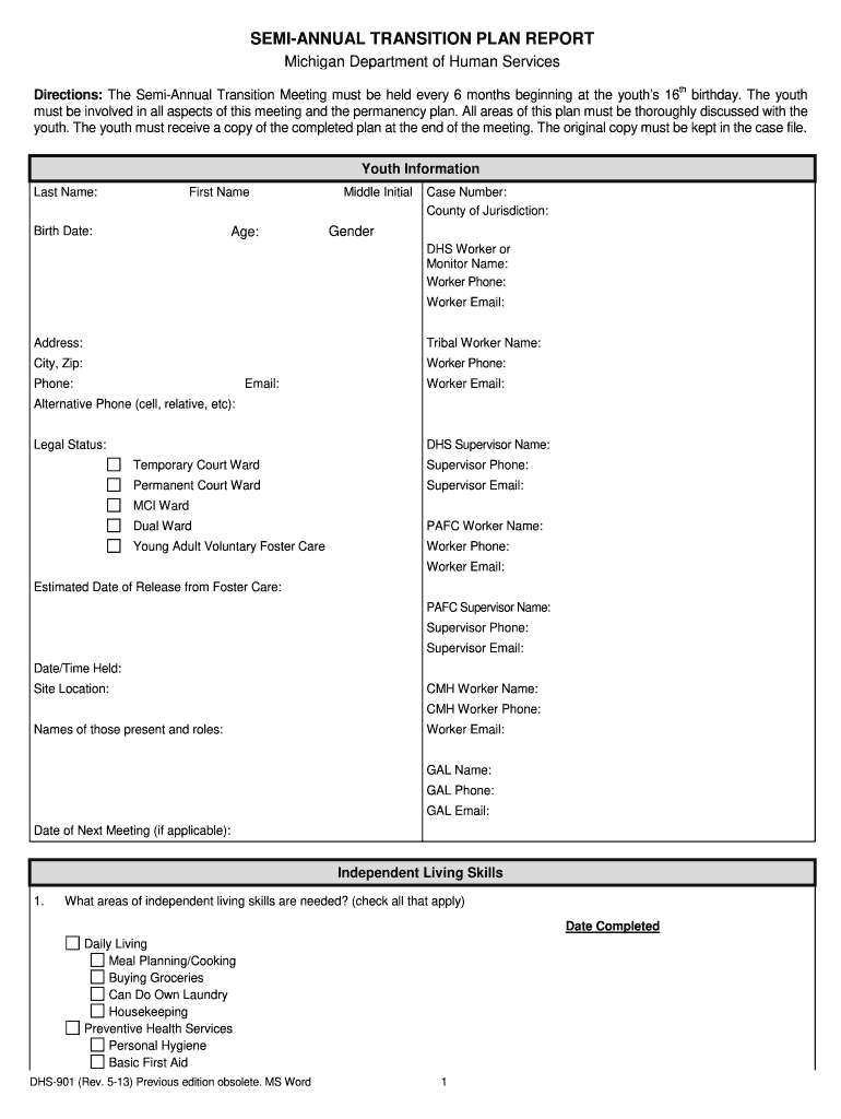  DHS 901 Semi Annual Transition Plan Report DHS 901  Michigan 2013-2024