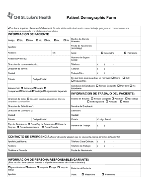 Spanish Demographic Form