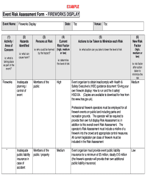 Fireworks Risk Assessment Template  Form