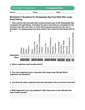 Chesapeake Bay Food Web Worksheet Answers  Form