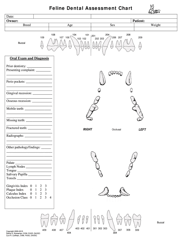 Feline Dental Chart  Form