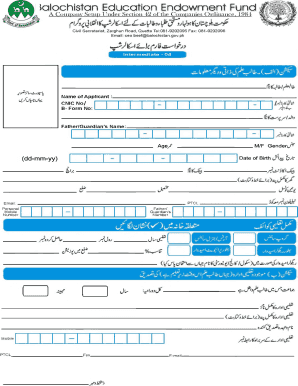 Beef Office Quetta  Form