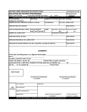 Solicitud De Patente Provisional Municipio Aut Nomo De Caguas Caguas Gov  Form
