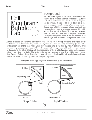 Cell Membrane Bubble Lab Answers PDF  Form