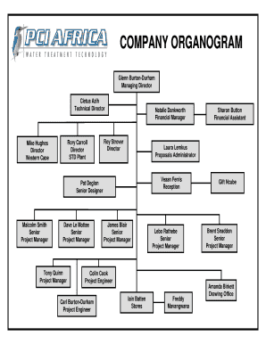 COMPANY ORGANOGRAM  Form