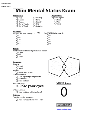 Mmse Example  Form