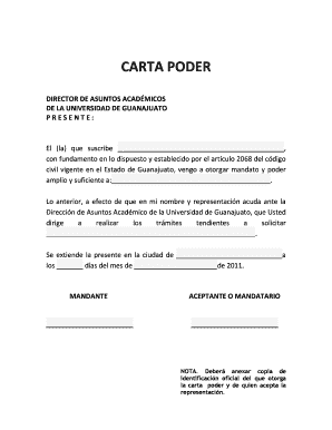 Carta Poder Ejemplo  Form