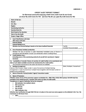 Credit Information Report Format in Word