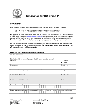 Ib1 Form PDF