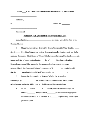 In the CIRCUIT COURT for DAVIDSON COUNTY, TENNESSEE , Petitioner, Vs , Respondent Circuitclerk Nashville  Form