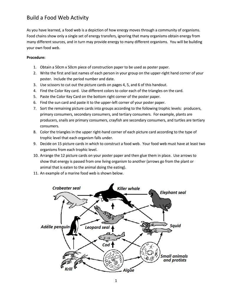 Get and Sign Food Web Activity  Form