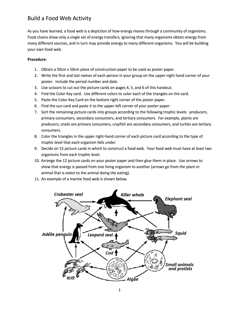 Food Web Activity  Form