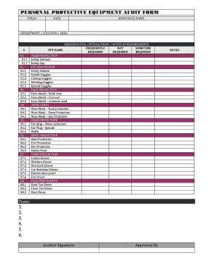 PERSONAL PROTECTIVE EQUIPMENT AUDIT FORM