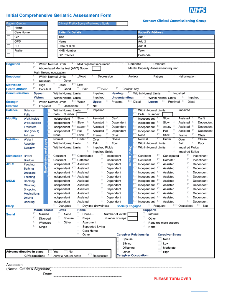 Comprehensive Geriatric Assessment Form PDF